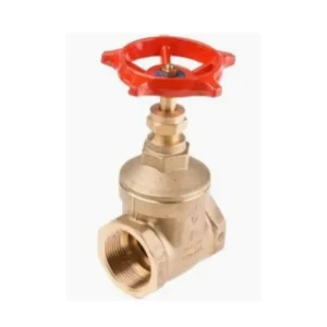 gate valve